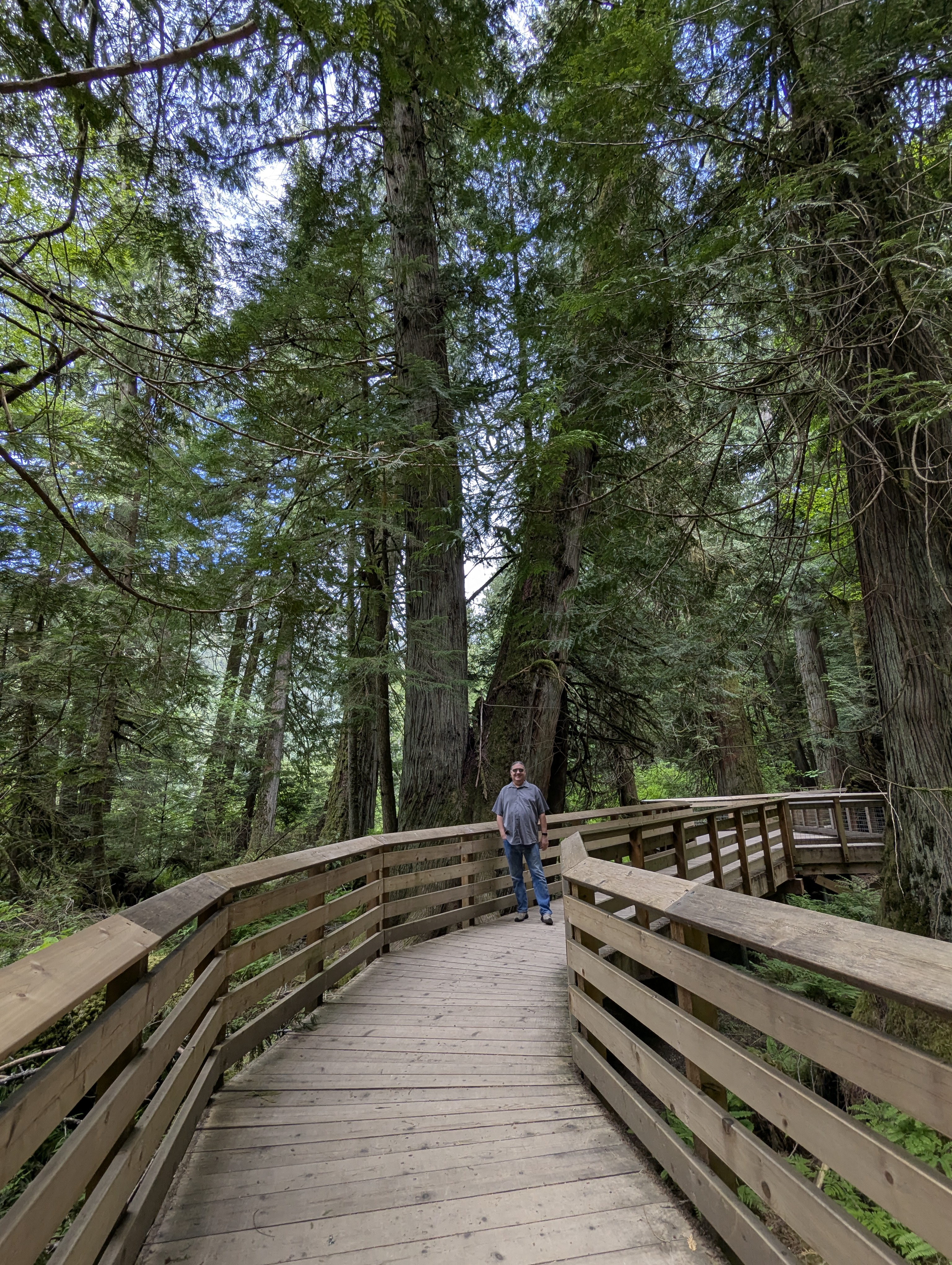 Birthday Trip to Canada, Cathedral Grove, Vancouver Island